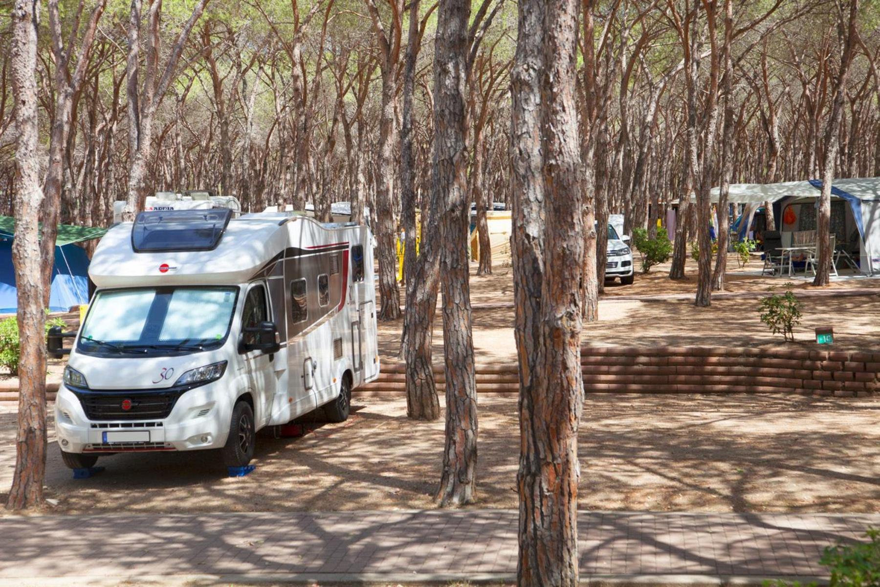 Camping Village Baia Blu La Tortuga Aglientu Eksteriør billede